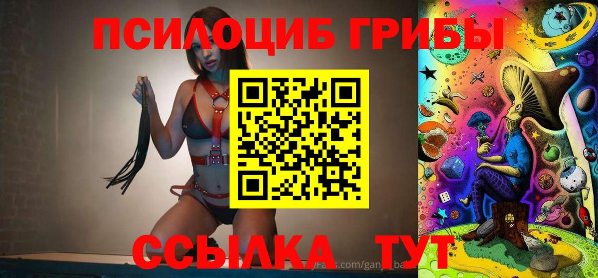 Галлюциногенные грибы прущие грибы Саров
